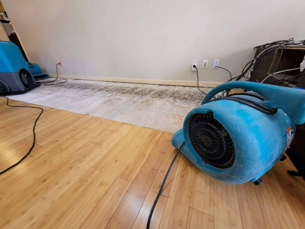 Professional Flood Damage Cleanup technician working in Camden, TN